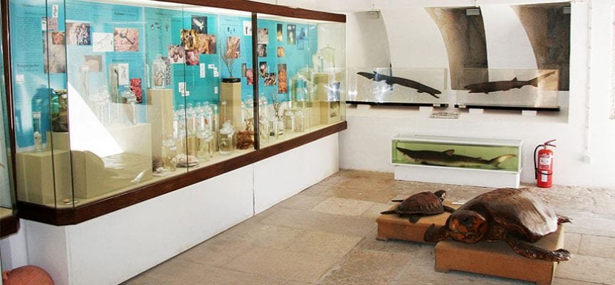 museu oceanográfico