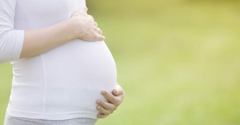 Toxoplasmose na gravidez: o que é, qual o tratamento e como se prevenir
