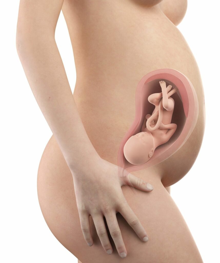 30 semanas de gravidez - barriga