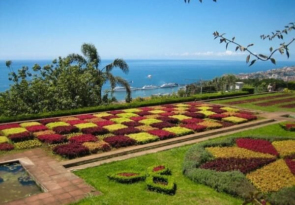 Jardim Botânico da Madeira: beleza e muita cor no Funchal!