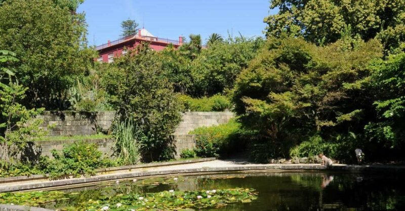 Jardim Botânico do Porto: descubram este paraíso!