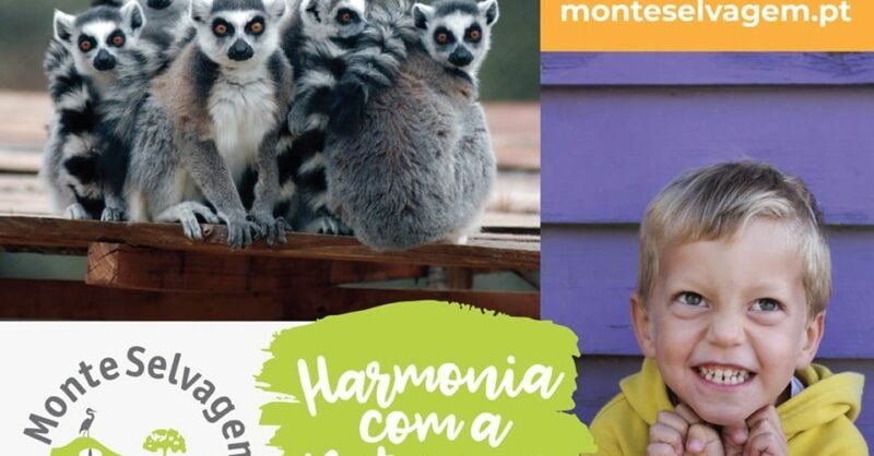 Programa Educativo Monte Selvagem 2019-2020