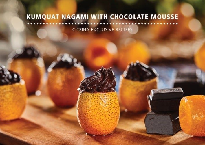mousse de chocolate com kumquat nagami