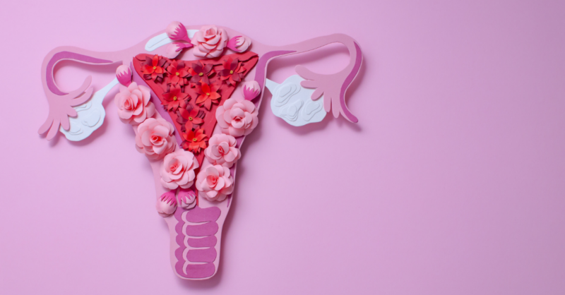 Endometrite puerperal: percebam do que se trata