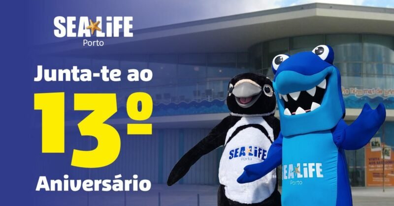 SEA LIFE Porto celebra 13º aniversário com novas espécies marinhas e muita animação!